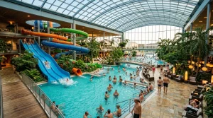 AquaInfo.cz | Průvodce Aquaparky a Termálními Lázněmi 3 aquapark viden